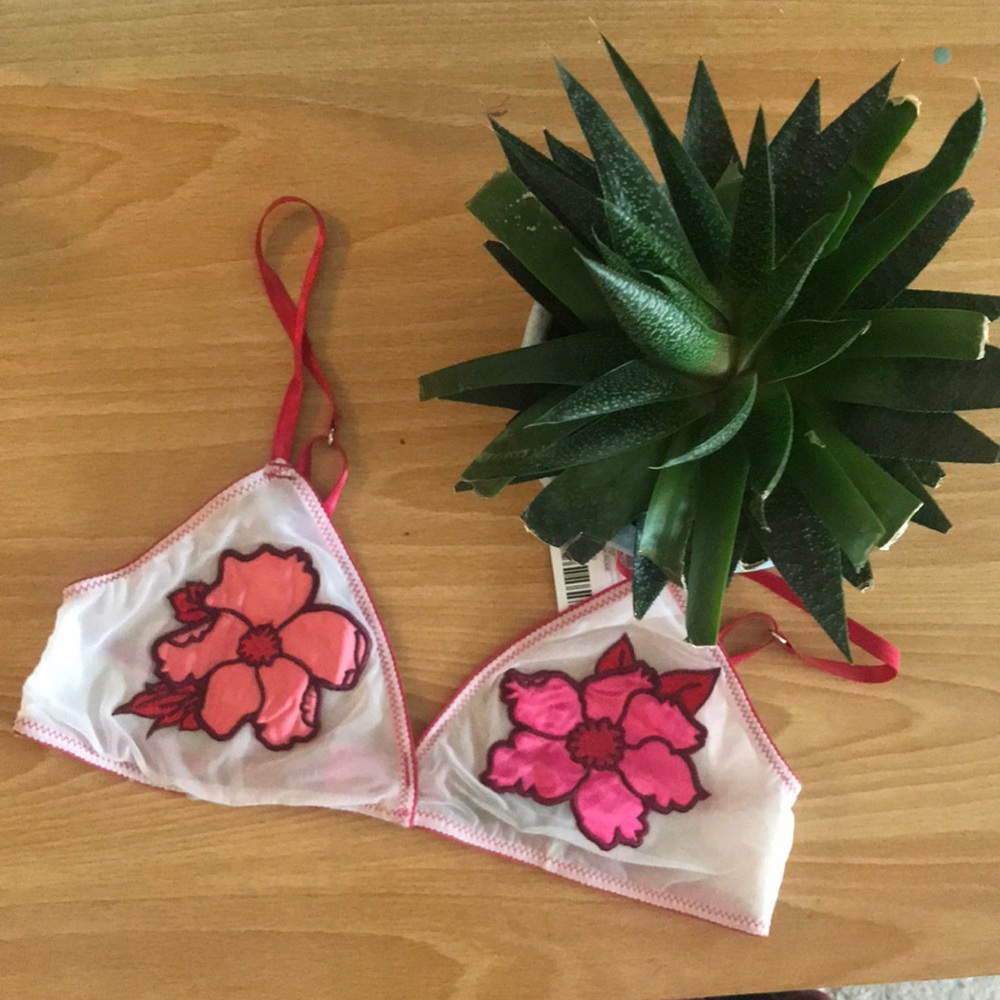 Festival Bra ✨